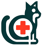 Cat First Aid